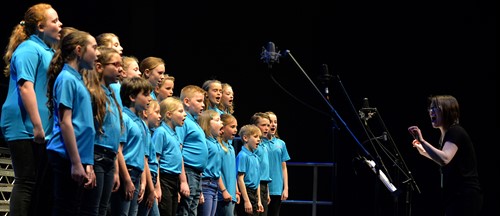 Saltash Singers performing at the Plymouth Pavilions